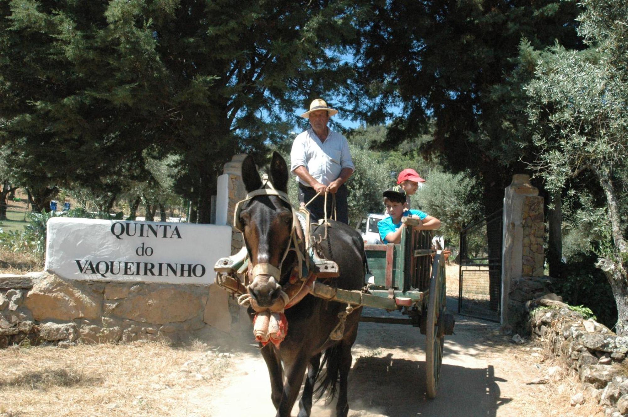 Villa Quinta Do Vaqueirinho - Agro-Turismo Marvão Exterior foto