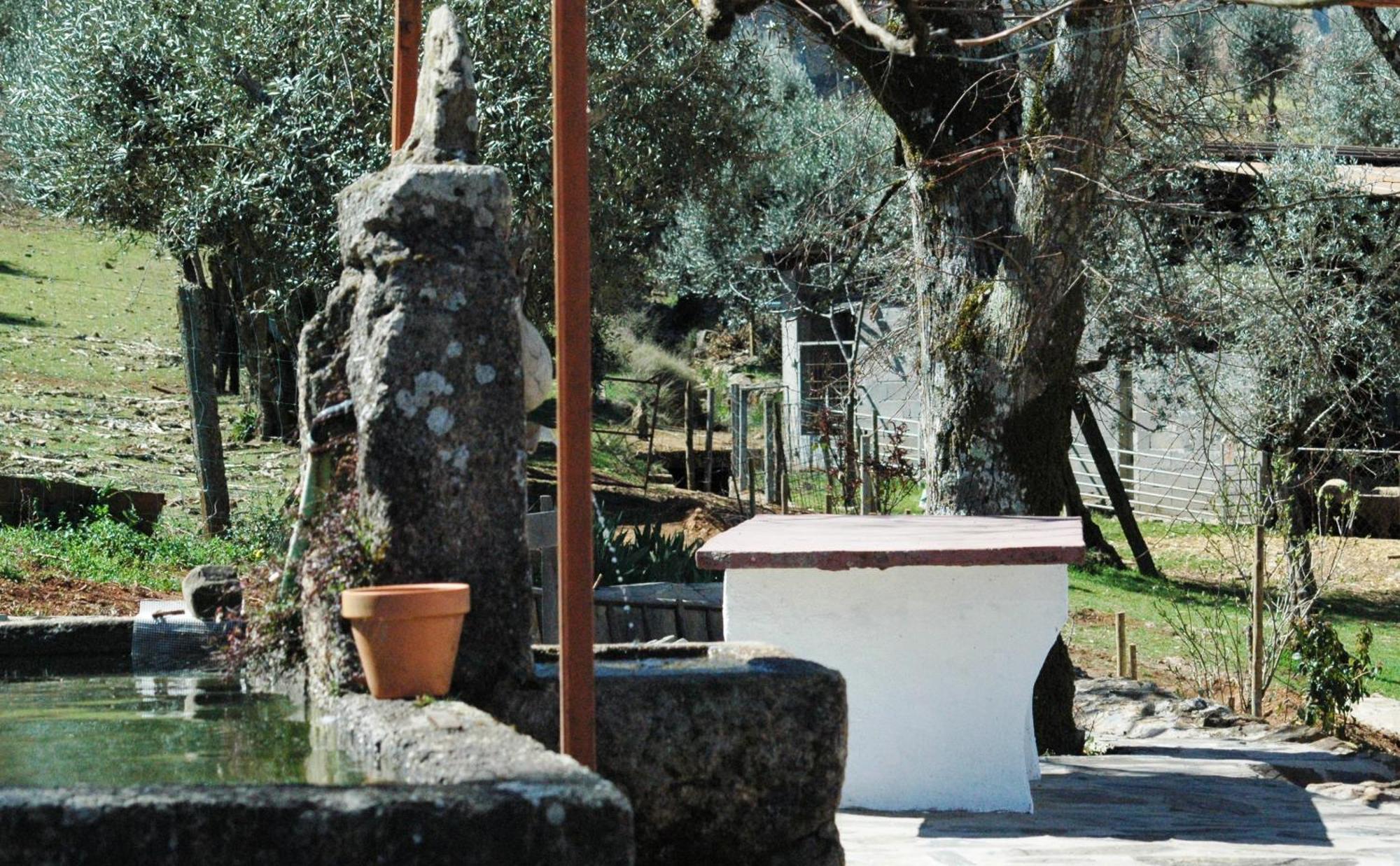 Villa Quinta Do Vaqueirinho - Agro-Turismo Marvão Exterior foto
