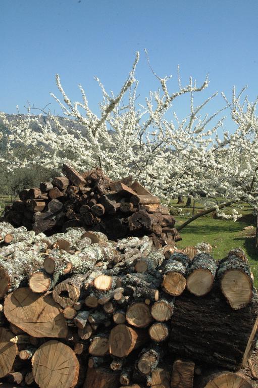 Villa Quinta Do Vaqueirinho - Agro-Turismo Marvão Exterior foto