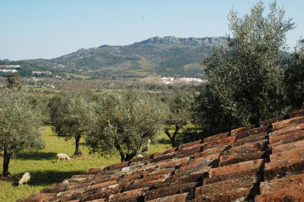 Villa Quinta Do Vaqueirinho - Agro-Turismo Marvão Zimmer foto